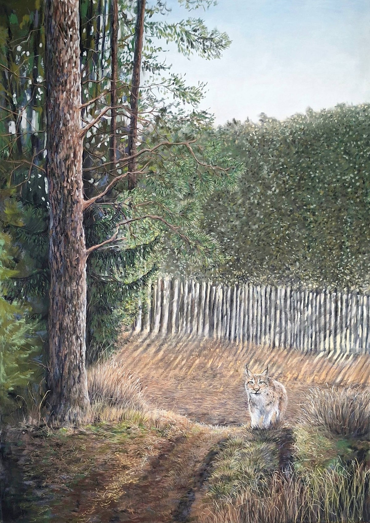"Leśne spotkanie"